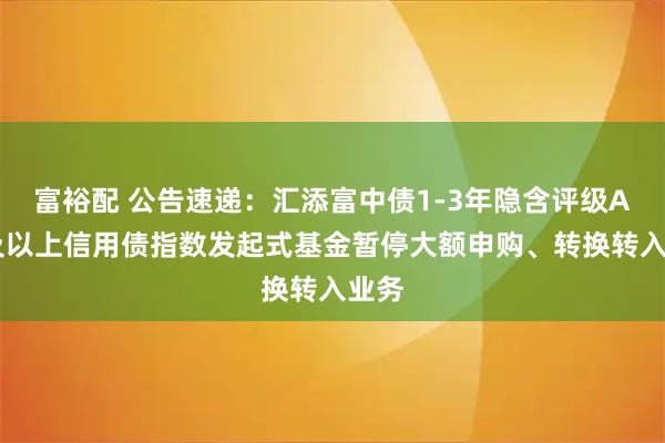 富裕配 公告速递：汇添富中债1-3年隐含评级AA+及以上信用债指数发起式基金暂停大额申购、转换转入业务
