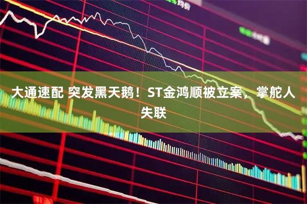 大通速配 突发黑天鹅！ST金鸿顺被立案，掌舵人失联